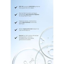 Prime Alix Avien Kırışıklık Karşıtı Nemlendirici SPF30 Parlak Bitişli Fondöten Care Enhancer 817