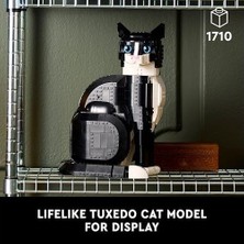 Prime LEGO 21349 Smokinli Kedi