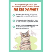 Prime Biofeline Kısır Kediler Için Multivitaminli Malt Macun 100G ve Sterile Paste