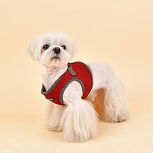 Teknollojia Puppia Soft Harness Iı - Küçük ve Orta Boy Köpekler Için Yumuşak Yelek Takımı - Çok Rahat ve Kolay Giyilir