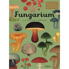 Prime Fungarium