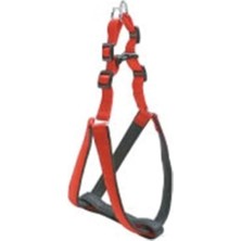 Prime Eastland Soft Bel Tasma 2,5X77-98 cm