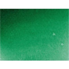 Prime Akademie Aquarell Yarım Tablet Sulu Boya 553 Permanent Green