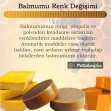 Karok Ticaret (400 Gram) Doğal Katkısız Saf Beeswax Arı Mum