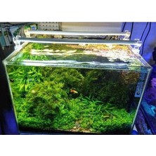 Prime Orionled Akvaryum LED Aydınlatma Daylight 80CM 3000K