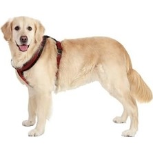 Prime Yumuşak Göğüs Tasma 48-55 cm Siyah-Kırmızı