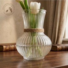 Filizora Digital Market Pure Model El Yapımı Üfleme Cam Küçük Vazo - Şeffaf Optikli Dekoratif Çiçeklik 13X7 cm