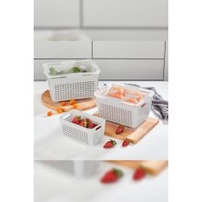 Prime - Lavin 2-4-7 Litre Ekru Saklama Kabı
