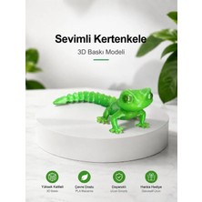 Sevimli Kertenkele Figür 3D