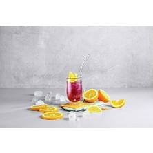 Sorrento Cam Pipet, Sürdürülebilir ve Tekrar Kullanılabilir, Borosilikat Cam, Soğuk ve Sıcak Içecekler Için, 4 Adet, Uzunluk: 23 Cm, Kavisli Şekil, Renk: Şeffaf, Temizleme Fırçası Dahil