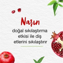 Prime Himalaya Since 1930 Komple Bakım Bitkisel Diş Macunu, Florürlü, Parabensiz, Vejeteryan, Güçlü Dişler, 75 ml