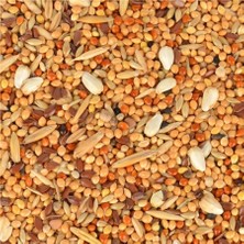 Prime Quik Kızıştırıcı Muhabbet Kuşu Yemi 150 G