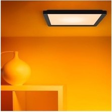 Prime Wiz Akıllı Tavan Lambası – Ince Kare Tasarım, Birden Fazla Boyut, Ses/uygulama Kontrolü, Zaman Planlama,, Amazon Alexa ve Homekit ile Çalışır, Iç Aydınlatma, Siyah/beyaz