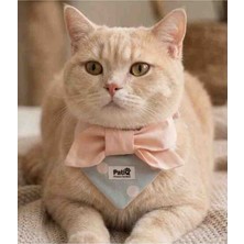 ​🎀 Pudra Pembe Fiyonklu & Puantiyeli Patiq Pet Boyunluk