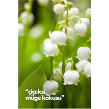 Alya 's Scents Lilly Of The Valley - Müge Çiçeği Oda Kokusu Yedek Makine Spreyi 250 ml