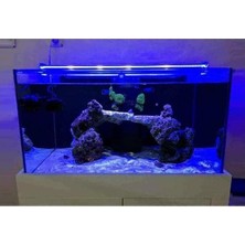 Prime Orionled Akvaryum LED Aydınlatma Mavi 80CM