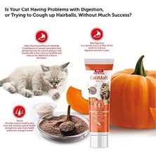 Prime Bio Petactive Bio Cati Malt Paste 100 Ml.
