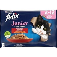 Prime Felix Yavru Kedi Avantajlı Paket (12X4= 85GR)