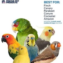Karok Ticaret Prevue Hendryx Yem & Calypso Creations Fiesta Çanta Kuş Oyuncak 62604 Engage