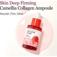 Store Roundlab Camellia Deep Collagen Firming Ampoule Yüz Ampulü 30 ml