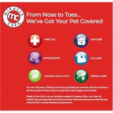Prime Miracle Care Slicker Köpek Fırçası, Büyük, Siyah