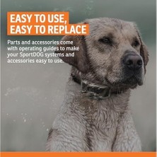 Prime Sportdog Aksesuarlar Probes Short