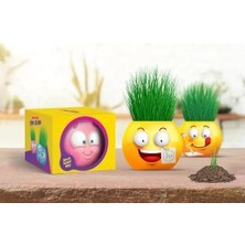 Emoji Temalı Çim Adam 6'lı Set – Çocuklar Için Eğitici ve Eğlenceli Bitki Yetiştirme Kiti