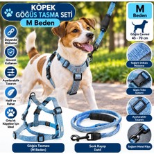 Baron Pet Senye Köpek Göğüs Tasması Seti Fitil M Beden - Gri Mavi (Göğüs 45-70 Cm)