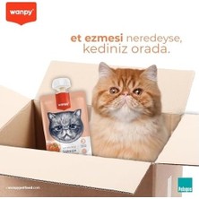 Prime Taze Somonlu&tavuklu Kedi Et Ezmesi 90 gr Tekli