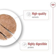 Prime Canin Maxi Yetişkin Konserve Maması (410G x 12 Adet)