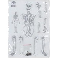 Prime Karton Iskelet Seti Sistemi - 1299145373