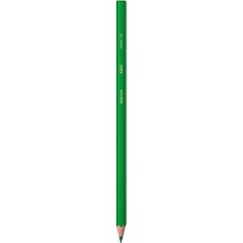Prime Bıc Kids Kuru Boya Kalemi 12'li Metal Tüp, Kıymık Oluşturmaz, Çiğnemeye Karşı Dayanıklı, Kolay Açılır