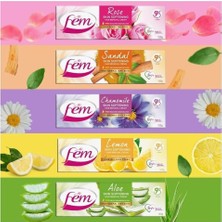 Store Losyon Shea Yağı 400ML