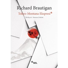 Tokyo-Montana Ekspresi