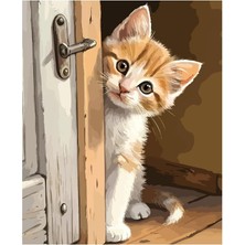MSP Boyama Tuval Hobi Seti, Fırça ve Boya Dahil Set (Çıtalı) 40X50 Cm, Kendin Yap Sayılarla Tuval Boya Kiti (Kasnaklı) (40X50, Kapı Arkası Kedi)
