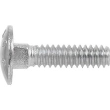 Prime Carriage Bolt, Steel, 5/16-18 x 2-In., 100-PK. -240090