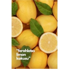 Lemon-Limon Oda Kokusu Yedek Makine Spreyi 250 ml