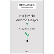 Her Şey Ne Anlama Geliyor?: Felsefeye Küçük Bir Giriş
