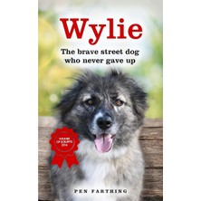 Wylie: The Brave Street Dog Who Never Gave Up