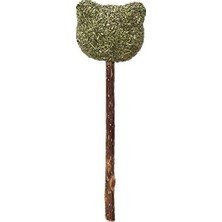 Prime Eastland 550872 Matatabi Catnip Ayıcık Şekilli Kedi Için Lolipop Oyuncak, 9.5 cm