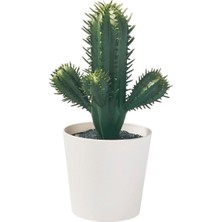 Prime Yapay Bitki, Yeşil, 6 Cm, Kaktüs, Iç/dış Mekan
