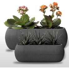 Prime Uzun Saksı Seti 0,55 Litre + 1,3 Litre, Iç Mekan - Dış Mekan 2li Ekonomik Tabaklı Plastik Saksı Set Renk