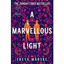 Karok Ticaret A Marvellous Light: A Dazzling, Queer Romantic Fantasy