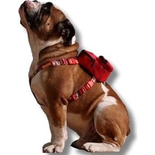 ,çantalı Göğüs Tasması, Köpek Sırt Çantası – 2’si 1 Arada Göğüs Tasması Fonksiyonlu, Ayarlanabilir, Küçük & Büyük Irklar Için,kırmızı, Large, Recycled