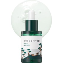 Karok Ticaret Roundlab Calming Cica Ampoule Yüz Ampulü 30 ml