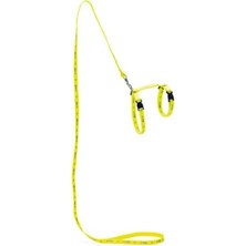 Prime Art Sportiv Uzatma Tasma, Kedi, 10MM x 110 Cm, Sarı