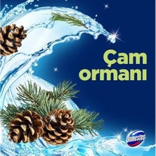 Prime Domestos Tuvalet Bloğu Çam Ormanı 5'li Güç, 250 Gram