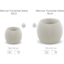 Prime Yuvarlak Saksı Seti 0,35 Litre + 1,2 Litre, Iç Mekan - Dış Mekan 2li Ekonomik Tabaklı Plastik Saksı Set Renk
