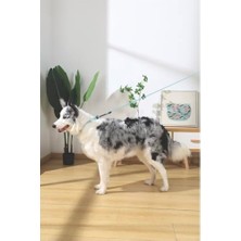 Prime Gentle Dog Gezdirme Kayışı (S) Green (2 Paketi)