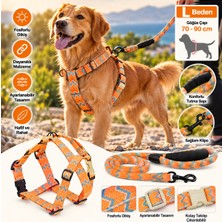 Baron Pet Ally Paws Köpek Göğüs Tasması ve Gezdirme Kayışı Seti L Beden 12MM x 120CM